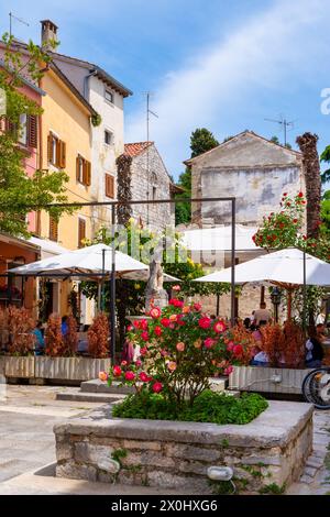 Wunderschöne Eindrücke des alten rustikalen Dorfes Porec an einem sonnigen Tag im Sommer, Kroatien Stockfoto