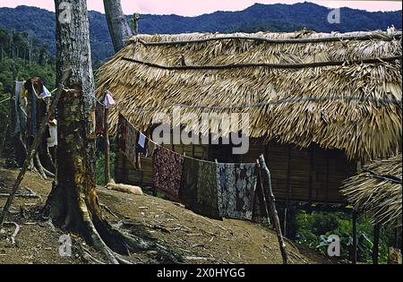 Holzhütte auf Stelzen einer indigenen Familie in Malaysia. Das Dach ist mit Palmblättern bedeckt. Vor dem Haus Waschstraßen mit Kleidung zum Trocknen. Er steht an einem Hang. Im Hintergrund bewaldete Berge und Hügel. [Automatisierte Übersetzung] Stockfoto