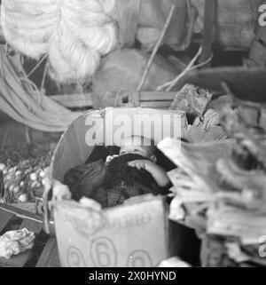 Ein Baby liegt in Cuernavaca in Mexiko hinter einem Marktstall, der in einem Pappkarton in Decken verpackt ist. Um das Kind herum liegen verschiedene Waren. [Automatisierte Übersetzung] Stockfoto