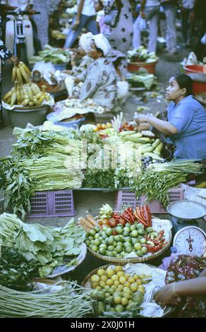 Einige Händler bieten ihr Obst und Gemüse wie Bananen, Pak choi, Frühlingszwiebeln, Chilis, Zitronen und Limonen auf einer Straße in Malysia zum Verkauf an. Sie legen sie in große Schalen oder Körbe. Die Frauen sitzen auf dem Boden. In der Bildmitte steht eine Frau mit blauem T-Shirt, die eine Art Stand von Wäschekörben aufgestellt hat. Im Hintergrund sind Verkäuferinnen mit Kopftüchern und mehrere Menschen, die dort einkaufen. [Automatisierte Übersetzung] Stockfoto