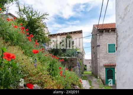 Typische Altstadt-Szene im mittelalterlichen Dorf Plomin, Kroatien Stockfoto