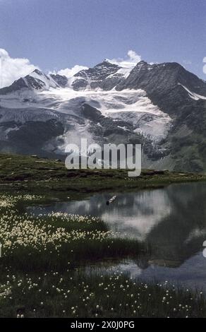 Bergsee, in dem sich die Berge der Bernina-Gruppe und der Cambrena-Gletscher des Piz Cambrena spiegeln. [Automatisierte Übersetzung] Stockfoto