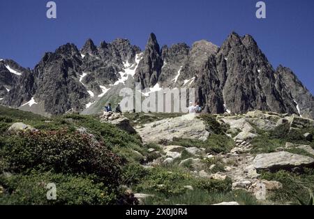 Wanderer auf dem Wanderweg. Im Vordergrund rot blühende Alpenrosen, im Hintergrund die Berge des Mont Blanc-Massivs. [Automatisierte Übersetzung] Stockfoto