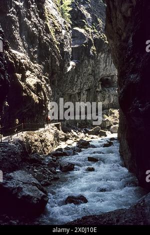 Pfad entlang des Partnach [automatisierte Übersetzung] Stockfoto