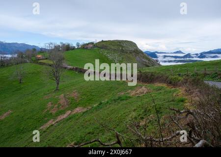 Ein Blick auf einen lebhaften grünen Hügel in den nebeligen Asturien-Bergen in Spanien, mit einer Straße, die durch die Landschaft führt. Stockfoto