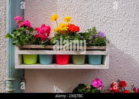 Neben einer Ziegelmauer befindet sich ein mit verschiedenen Topfpflanzen überlaufender Fensterkasten. Die Pflanzen zeigen leuchtende Farben und verschiedene Texturen in der Th Stockfoto