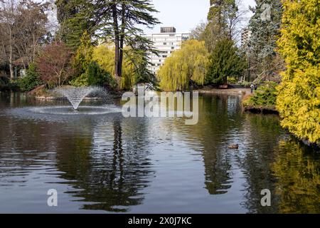 Frühlingslandschaften im Beacon Hill Park im schönen Victoria, British Columbia, Kanada. Stockfoto