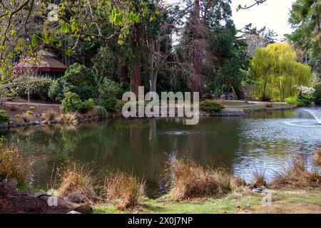 Frühlingslandschaften im Beacon Hill Park im schönen Victoria, British Columbia, Kanada. Stockfoto