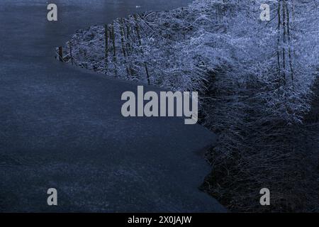 Eis bildet sich auf einem See, die schneebedeckten Bäume spiegeln sich im dunklen Wasser, Deutschland Stockfoto