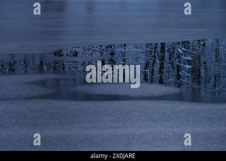 Eis bildet sich auf einem See, die schneebedeckten Bäume spiegeln sich im dunklen Wasser, Deutschland Stockfoto