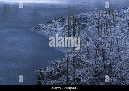 Eis bildet sich auf einem See, die schneebedeckten Bäume spiegeln sich im dunklen Wasser, Deutschland Stockfoto