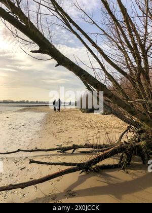 Elbstrand, Wittenbergen, Hamburg, Bezirk, Rissen, Norddeutschland, Deutschland Stockfoto