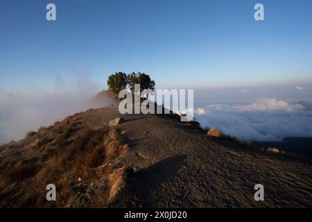 Trekking auf den 3726 Meter hohen Vulkan Gunung Rinjani im Mount Rinjani Nationalpark, Lombok, Indonesien Stockfoto