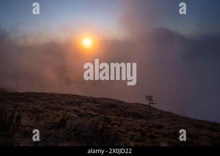 Im Mount Rinjani Nationalpark in Lombok, Indonesien, bricht die Sonne durch den Nebel Stockfoto