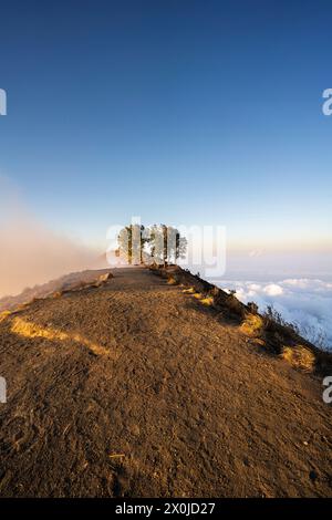 Trekking auf den 3726 Meter hohen Vulkan Gunung Rinjani im Mount Rinjani Nationalpark, Lombok, Indonesien Stockfoto