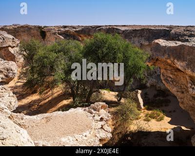 Auf der Straße in der Wüstenregion Al Huqf in Oman, Stockfoto