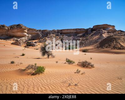 Auf der Straße in der Wüstenregion Al Huqf in Oman, Stockfoto