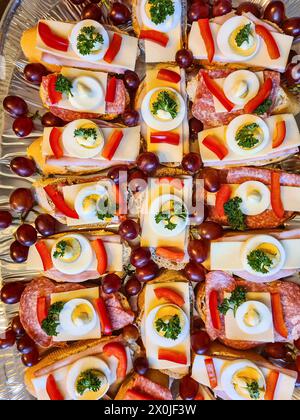 Brotscheiben mit Salami, in Scheiben geschnittenen Eiern, Käse in Streifen, Petersilie, roten Trauben, Paprika-Streifen, auf Servierplatte, Deutschland Stockfoto