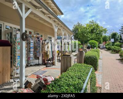 Straßenblick eines Souvenirgeschäfts im typisch nordischen Architekturstil an der Hauptstraße Prerow, Fischland Darß, Mecklenburg-Vorpommern, Deutschland Stockfoto