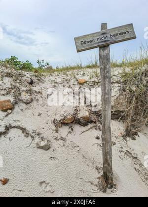 Schild vor den Dünen mit der Inschrift Betreten Sie nicht die Dünen darßer Ort, Ostseebad Prerow, Deutschland Stockfoto