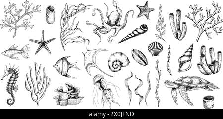 Meerestiere Vektor Set mit Algen, Korallen und Muscheln. Zeichnung des Unterwasserlebens mit Seepferdchen und Schildkröte im Stil der Linienkunst. Gravur von Oktopus und Quallen. Graphische Ätzung des Mantarochen. Stock Vektor