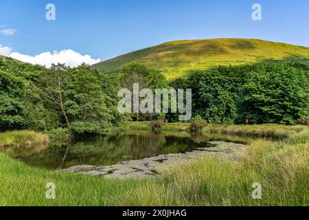 See im Snowdonia-Nationalpark, Wales, Großbritannien, Europa Stockfoto