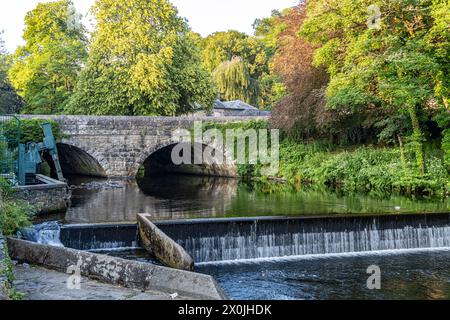 Brücke über den Fluss Tavy in Tavistock, Devon, England, Großbritannien, Europa Stockfoto