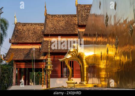 Elefant am Fuße des Goldenen Chedi Phrathatluang im Tempel Wat Phra Singh, Chiang Mai, Thailand, Asien Stockfoto