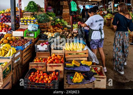 Ein farbenfroher Obst- und Gemüsestand auf einem Indoor Food Market in Salta, Provinz Salta, Argentinien. Stockfoto