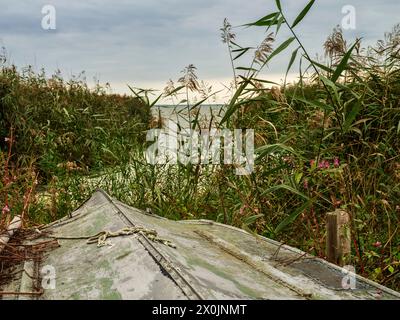 Schiffswracks in der Amber Bay in Juodkrante an der Kurischen Nehrung, Litauen Stockfoto