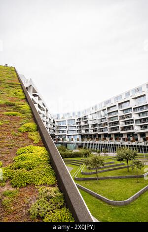 Gehen Sie durch Kopenhagen, 8 Tallet Gebäude Stockfoto