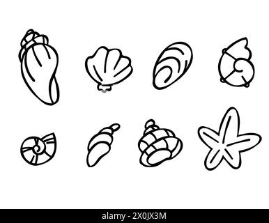 Set aus Muscheln im Doodle-Stil, schwarzer Umriss skizziert isolierte Elemente auf weißem Hintergrund für die Designvorlage. Meeresflora. Färbung. Clip-Art Stock Vektor