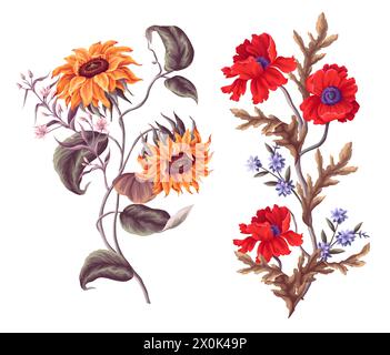 Blumensträuße mit Sonnenblumen, Mohn und anderen Wildblumen. Vektor Stock Vektor