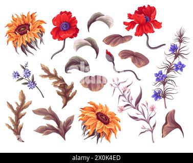 Sonnenblumen, Mohn und andere Wildblumen isoliert. Vektor. Stock Vektor
