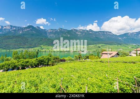 Kaltern an der Weinstraße, Kalterer See, Weinberge, Mendelkamm in Südtirol, Trentino-Südtirol, Italien Stockfoto