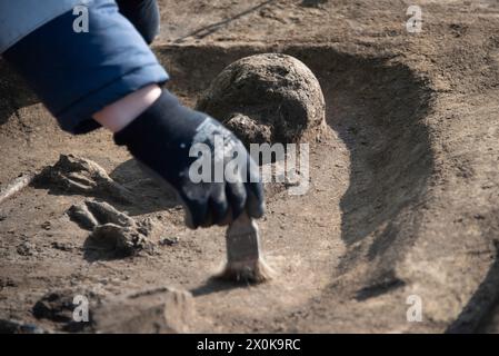 5000 Jahre altes menschliches Skelett, archäologische Ausgrabungsstätte, Magdeburg, Sachsen-Anhalt, Deutschland Stockfoto