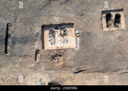 5000 Jahre alte Rinderknochen und menschliches Skelett, archäologische Ausgrabungsstätte Magdeburg, Sachsen-Anhalt, Deutschland Stockfoto