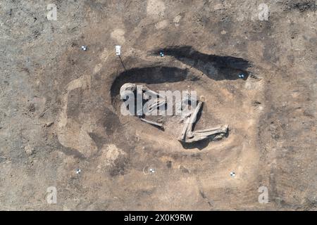 5000 Jahre altes menschliches Skelett, archäologische Ausgrabungsstätte, Magdeburg, Sachsen-Anhalt, Deutschland Stockfoto