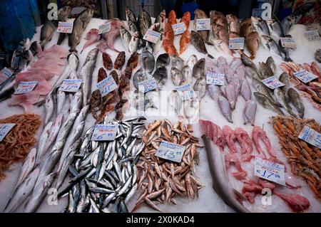 Ausstellung von frischem Fisch und Meeresfrüchten auf Eis, Fischhändler, Essen, Kapani Markt, Vlali, Thessaloniki, Mazedonien, Griechenland Stockfoto