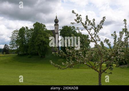 Ettendorfer Kirche, Oberbayern, Chiemgau, Traunstein Stockfoto