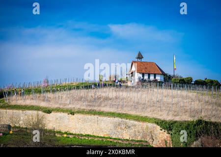 Michaeliskapelle auf dem Michaelsberg in Bad Dürkheim, Ursprung des Dürkheimer Wurstmarktes, auch Wallfahrtskapelle genannt, Stockfoto