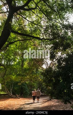 England, East Sussex, Sheffield Park and Gardens, älteres Ehepaar auf Foothpath Stockfoto