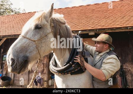 England, West Sussex, Weald and Downland Living Museum, Working Horse Stockfoto