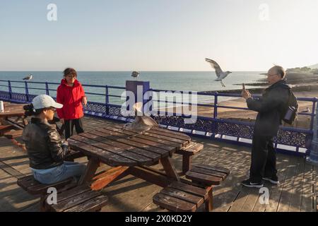 England, East Sussex, Eastbourne, Eastbourne Pier, Chinesische Touristen Füttern Möwen Stockfoto