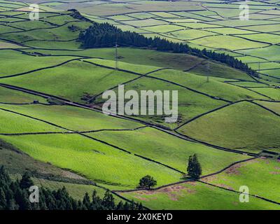 Azoren, Hügel von Serra do Cume und Serra da Ribeirinha, Terceira, Landschaft, grün, üppig, Natur, Landwirtschaft, gemäßigtes Klima, Insel, Atlantischer Ozean, Gulf Stream, Portugal Stockfoto