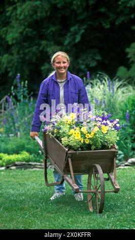 Junge Frau, die eine antike Schubkarre voller Frühlingsblumen schiebt, die sich bereit macht, zu Pflanzen, Missouri, USA Stockfoto