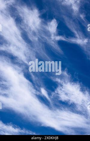 Cirrus Wolken, die vom Wind am blauen Himmel gekräuselt werden Stockfoto