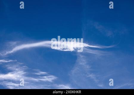 Cirrus Wolken, die vom Wind am blauen Himmel gekräuselt werden Stockfoto