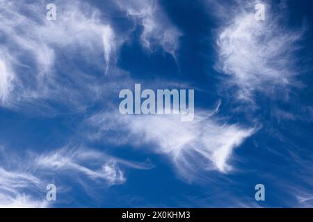 Cirrus Wolken, die vom Wind am blauen Himmel gekräuselt werden Stockfoto