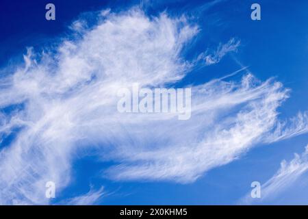 Cirrus Wolken, die vom Wind am blauen Himmel gekräuselt werden Stockfoto